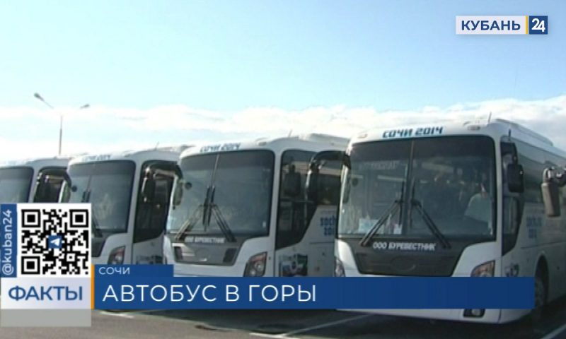 В новогодние каникулы запустят дополнительные автобусы в Красную Поляну