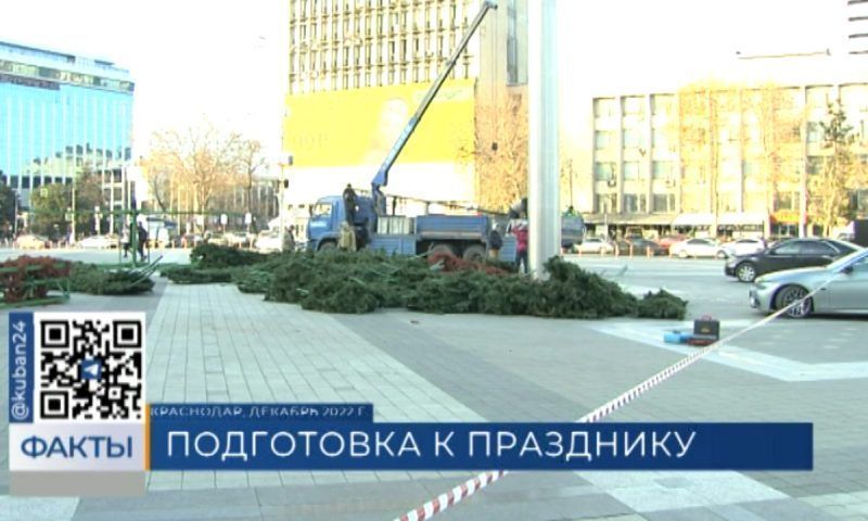 Главную городскую елку Краснодара начнут собирать 1 декабря