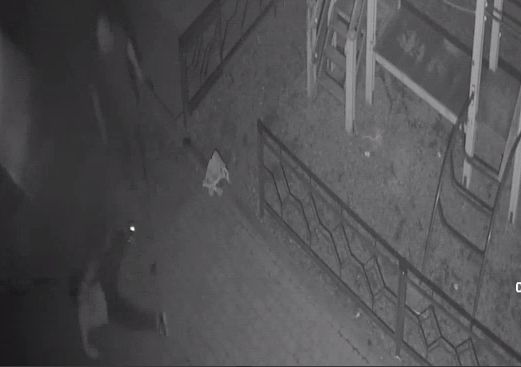 Мужчина избил 10-летнего мальчика из-за стука в окно в Краснодаре
