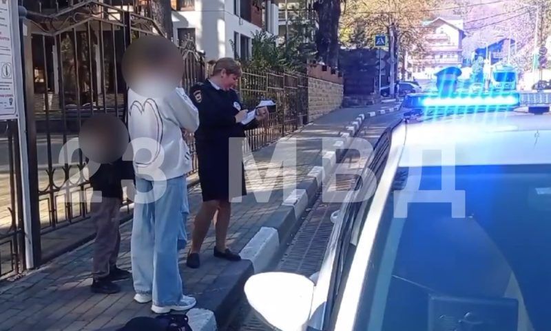 Пьяную женщину за рулем иномарки с ребенком в салоне задержали инспекторы в Сочи