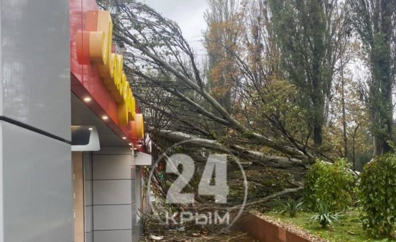 Сильный шторм накрыл Крым и оставил без света жителей Керчи и Ялты