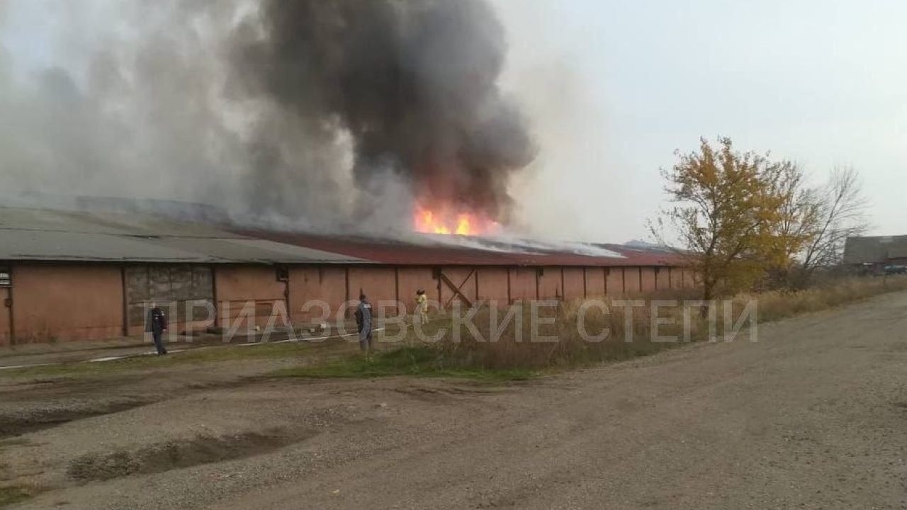 Пожар на складе с подсолнечником на Кубани потушили спустя почти двое суток  - 3 ноября, 2023 Все новости, Происшествия «Кубань 24»