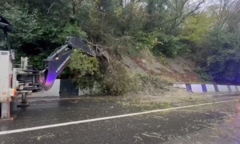 На трассу А-147 в Сочи сошел сель и рухнули деревья с камнями