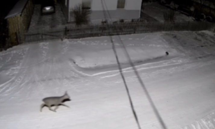 Первый снег выпал на Черноморском побережье Краснодарского края