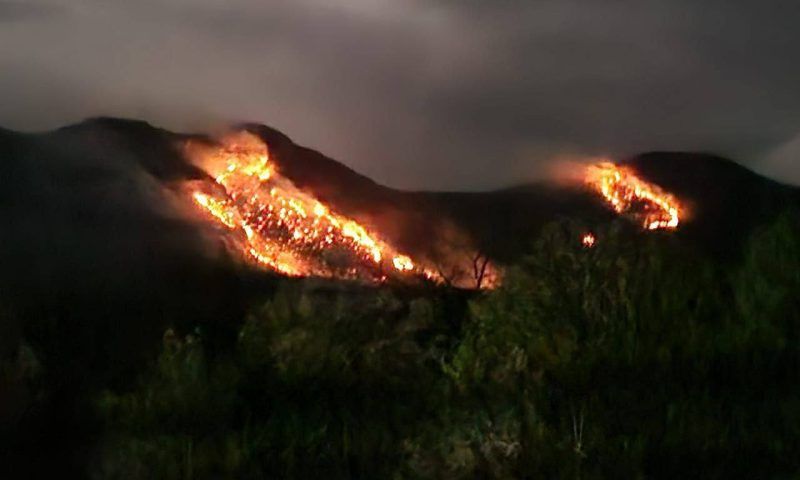 Пожар площадью 2 га произошел в горах Апшеронского района