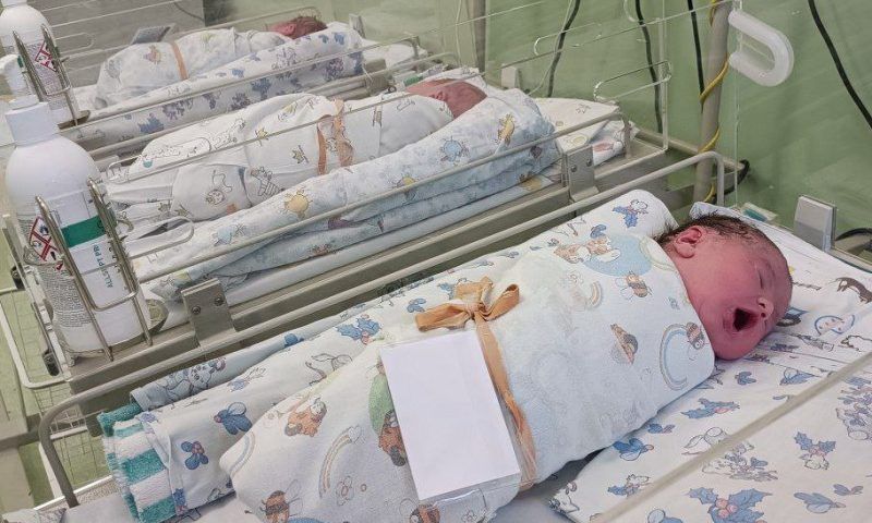 В Краснодарском крае за сутки родился 131 ребенок