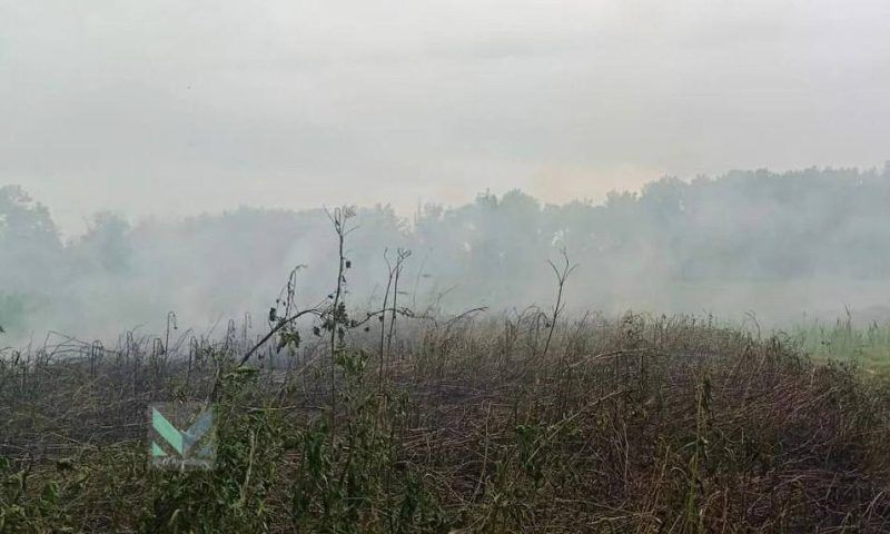 Жителей Краснодара предупредили о запахе гари от сжигаемой рисовой соломы
