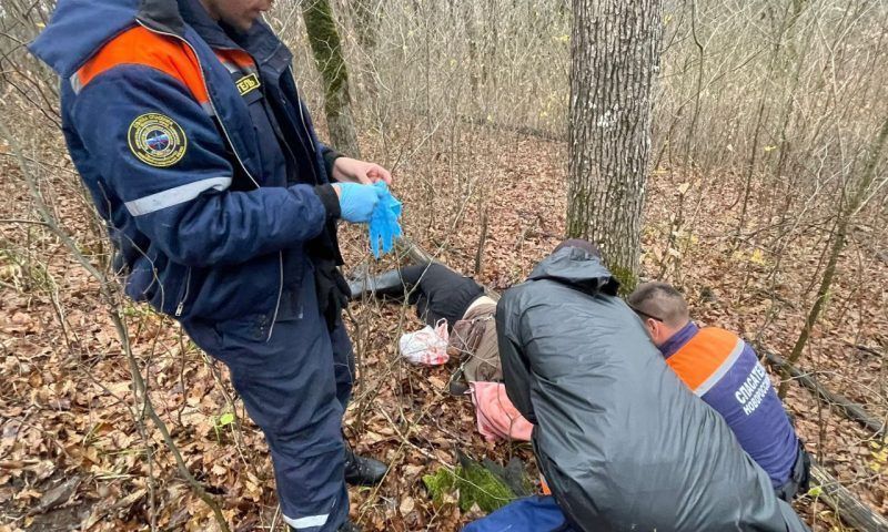 Дерево упало на мужчину в лесу под Новороссийском