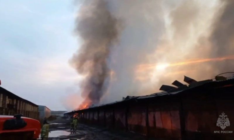 Склад с подсолнечником сгорел на Кубани, огонь охватил 5000 кв. метров