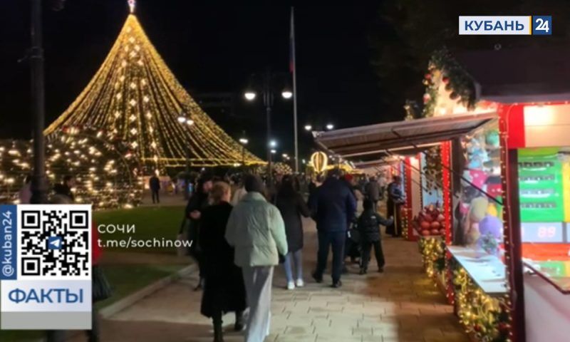 Новогоднюю световую конструкцию установили на улице Навагинской в Сочи