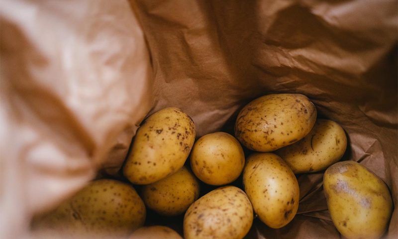 Картофель: чем полезен и кому нельзя, калорийность