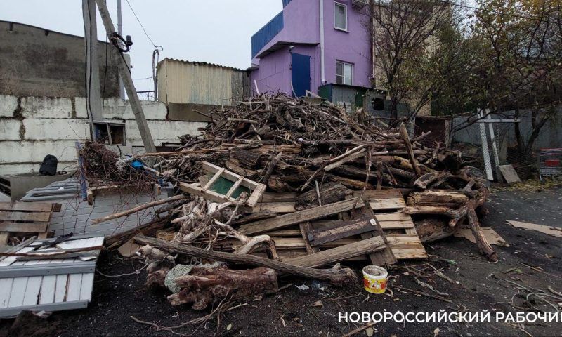 Выброшенную «штормом века» древесину раздают на дрова в Новороссийске