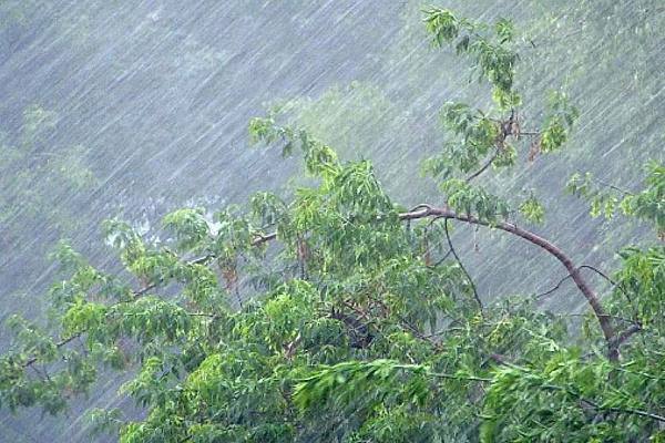Жителей и гостей Сочи предупредили о резком ухудшении погоды