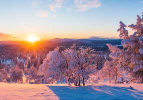 photo_2023-12-21_11-31-59