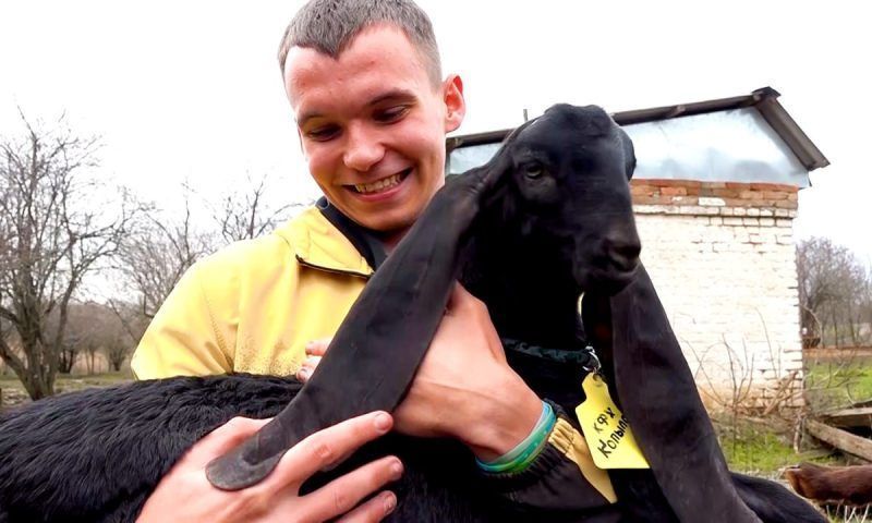 На Кубани студенту подарили коз экзотической породы для развития хозяйства