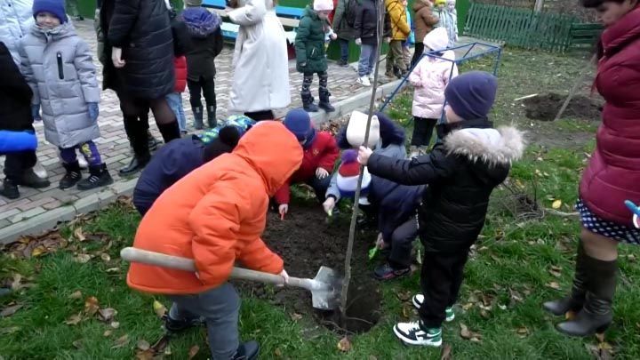 В детском саду Крымска заложили аллею в память о героях СВО