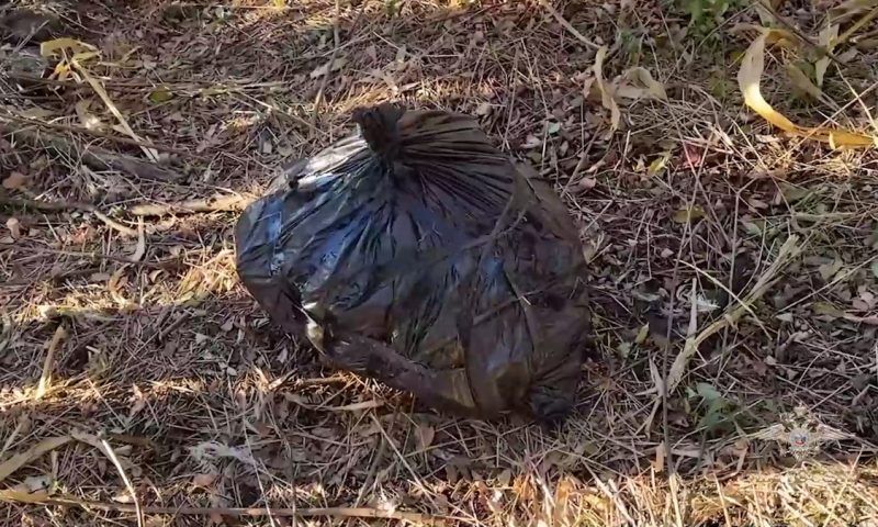 Более 12 кг мефедрона изъяли в Адыгее у супругов из Краснодарского края