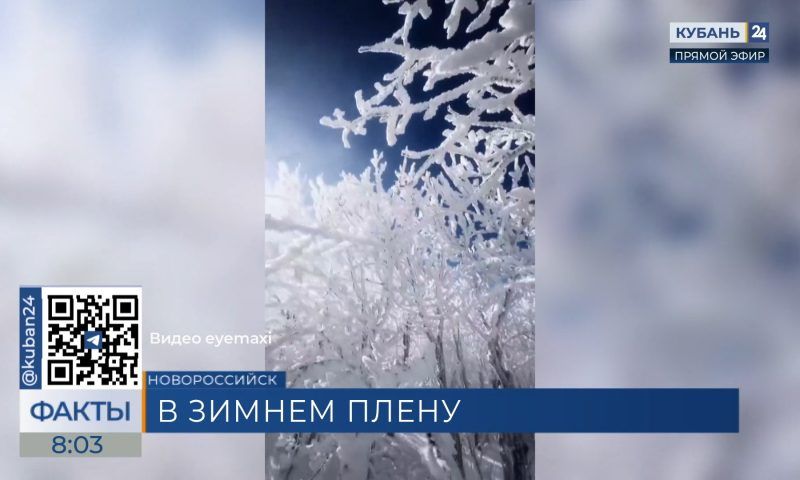 Заледеневший лес на вершине горы Лысая сняли на видео в Новороссийске