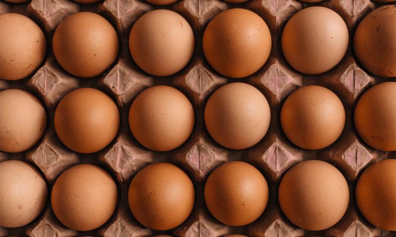 Росстат: цены на куриные яйца в РФ снизились впервые с конца июня 2023 года