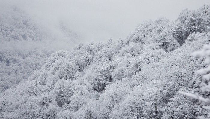 В горах Сочи за сутки выпало 37 мм осадков