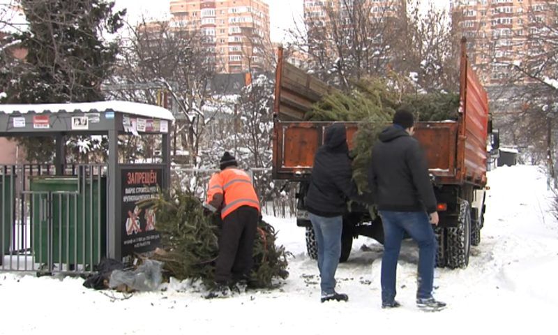 Пункты переработки в Краснодаре будут принимать новогодние елки до 16 января