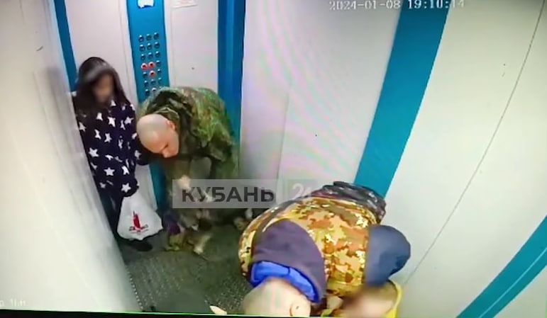Бастрыкин поручил возбудить дело о нападении собаки на ребенка в лифте на Кубани