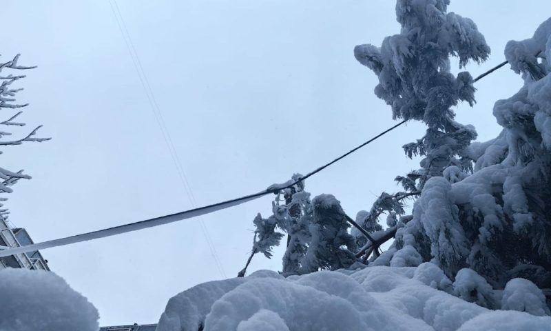 Энергетики «Россети Кубань» работают в режиме повышенной готовности из-за снега