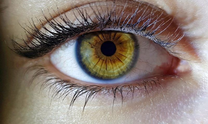 Зеркало души: что говорят о человеке желтые глаза