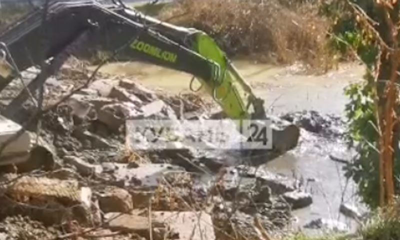 Жители Сочи пожаловались на засыпку пруда с краснокнижными черепахами