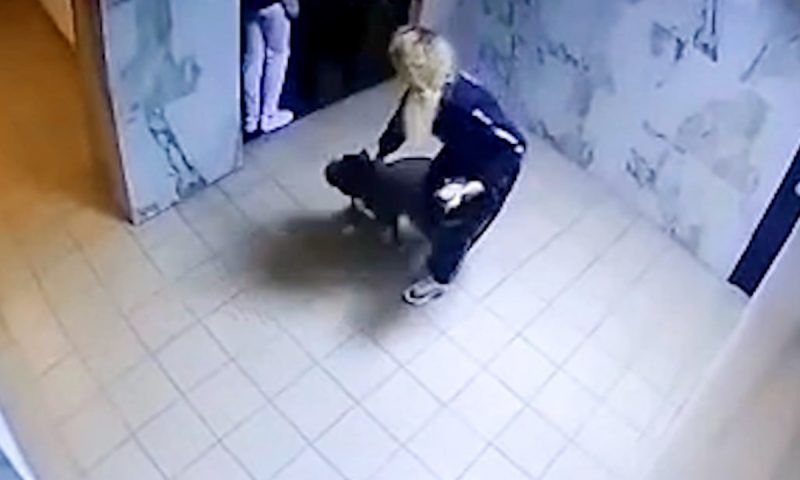 Питбуль без намордника напал на женщину в Сочи