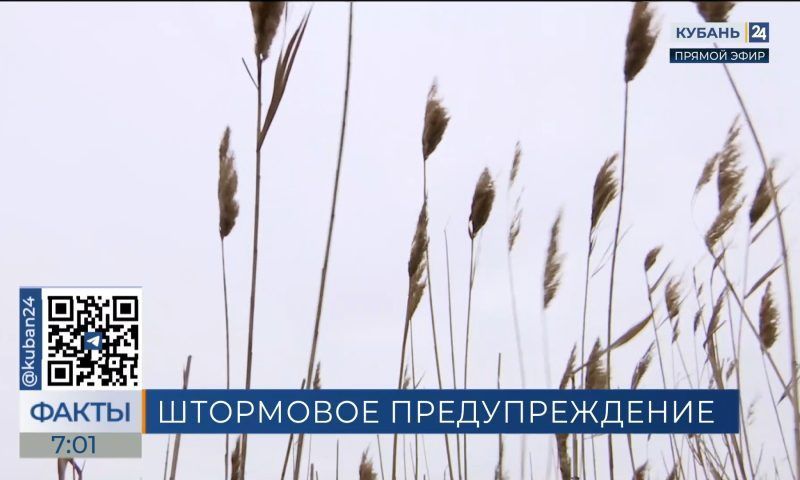 Холодно и ветрено: в Краснодарском крае похолодает до +4 °C