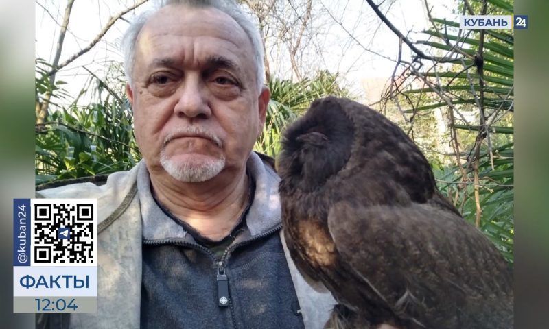 Орнитолог Александр Дворецкий спасает птиц на дому в Сочи
