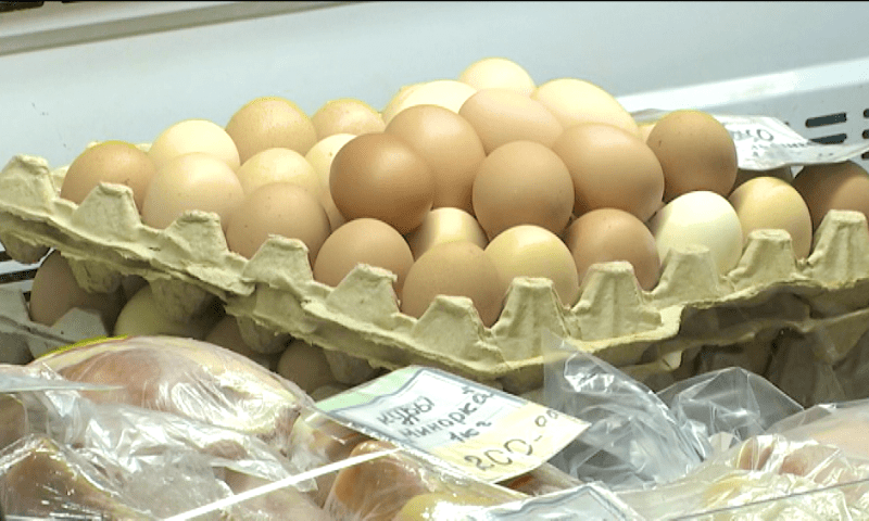 Цены кусаются: производители объяснили подорожание яиц в Краснодарском крае
