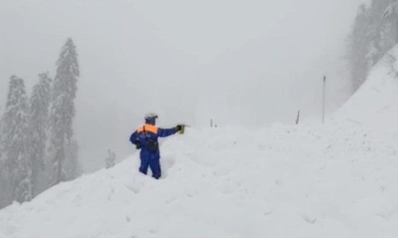 Шестерых райдеров спасли после схода пласта снега на горнолыжной трассе в Сочи