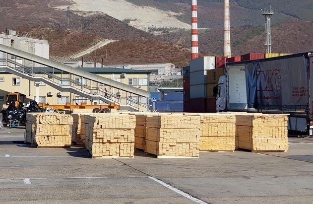 Контрабанду древесины на 5,6 млн рублей выявили на таможне в Новороссийске
