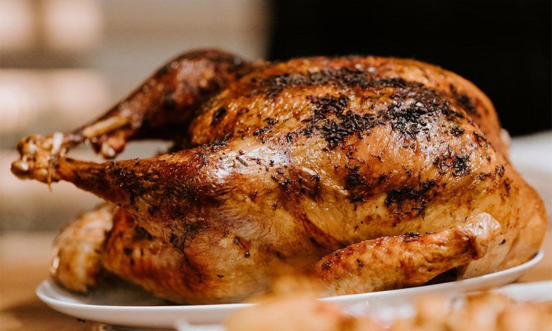 Диетолог Соломатина: в жареной куриной коже есть канцерогены, вызывающие рак