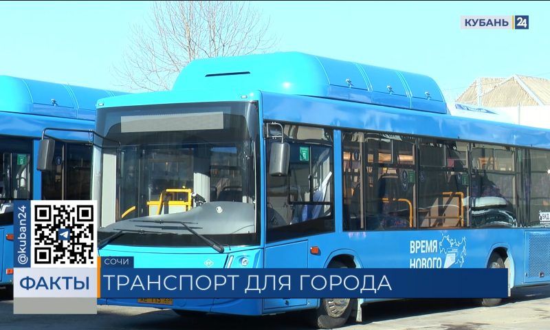 Новые газомоторные автобусы вышли на маршруты Сочи