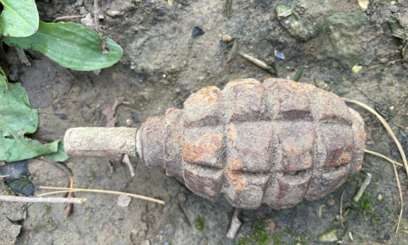Гранату, мины и боевые снаряды нашли на этой неделе в огородах жители Кубани