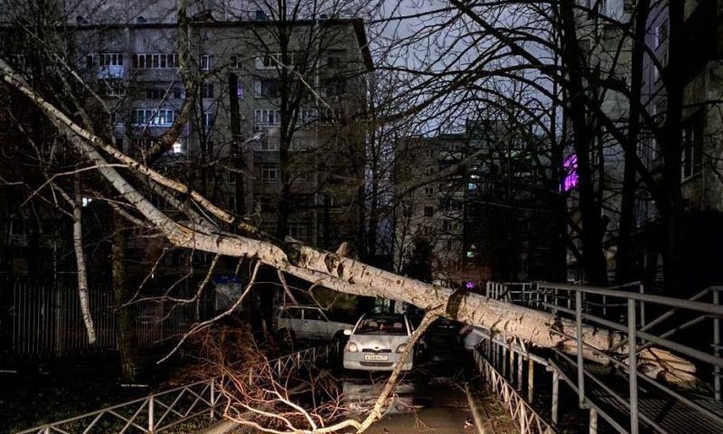 Поваленные деревья и энергоаварии: власти Краснодара назвали последствия урагана