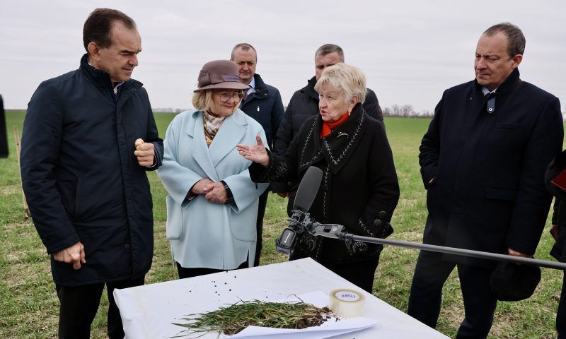 Озимой культурой под новый урожай в Краснодарском крае засеяли 1,8 млн гектаров
