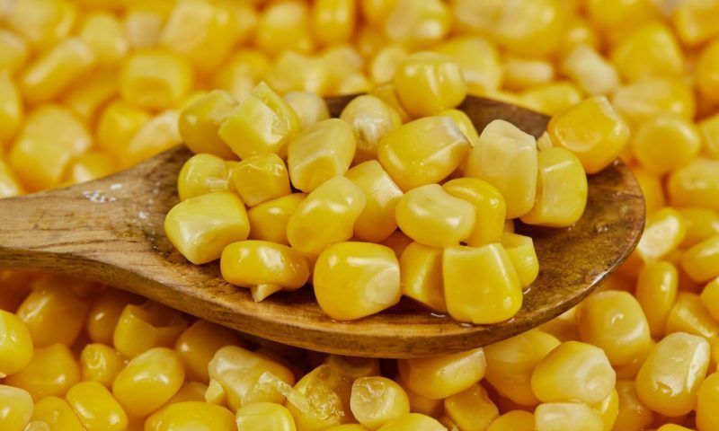 Пять секретов: как выбрать вкусную и сочную кукурузу