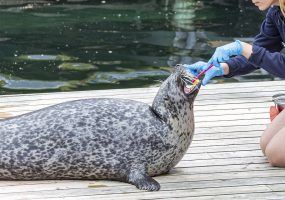 photo_2024-02-12_12-29-27