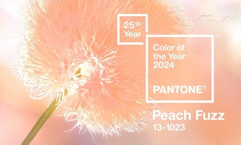 7 самых модных цветов весны 2024 года
