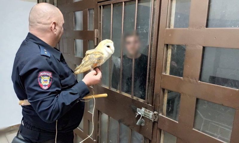 Фотографа-живодера с совой задержали в Сочи