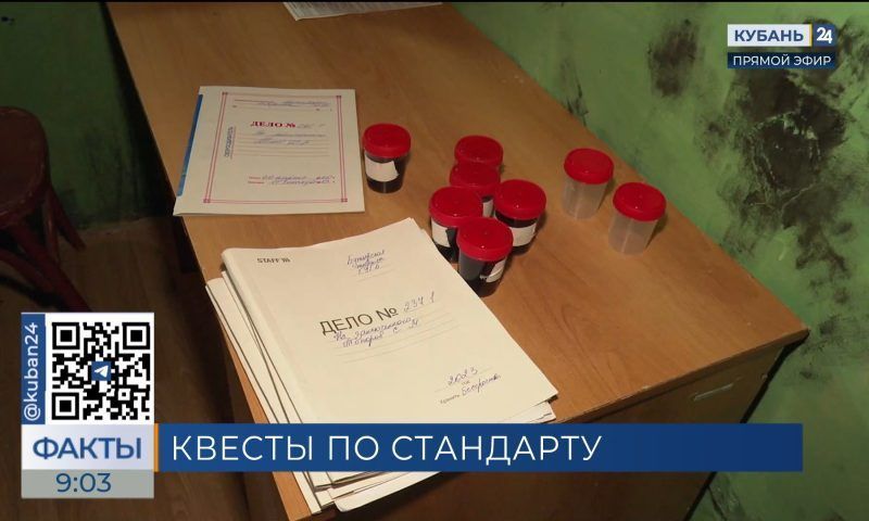 Новый ГОСТ для проведения детских квестов утвердили в России