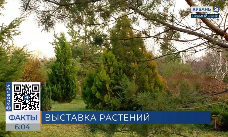 Сочинский нацпарк 2 марта откроет выставку-ярмарку растений из своих питомников