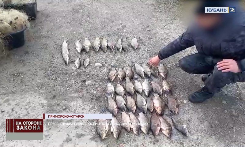 Браконьеры выловили 330 особей рыбы на 140 тыс. рублей в Приморско-Ахтарске