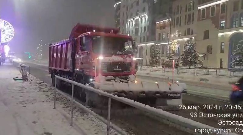 Непогода в Сочи: в городе упали несколько деревьев, в горах снегом замело дороги