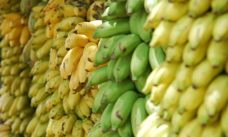 Ретейлеры в России решили сменить поставщика бананов