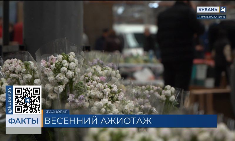 Цены на букеты к 8 Марта традиционно взлетели на рынках в Краснодаре